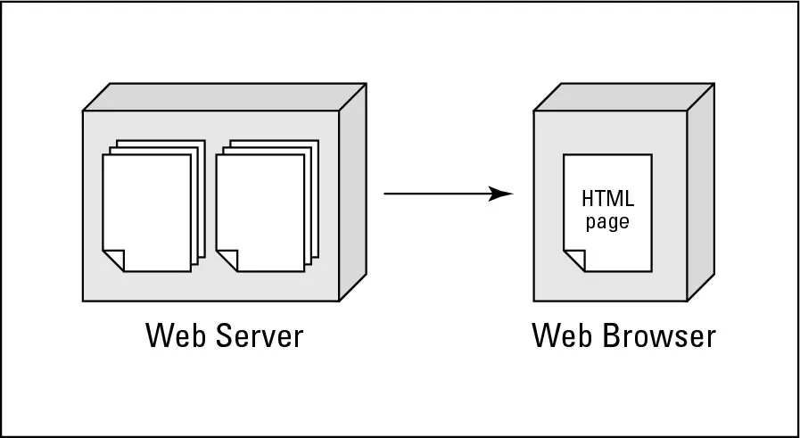 Figure 1-1: Displaying information over the Web.